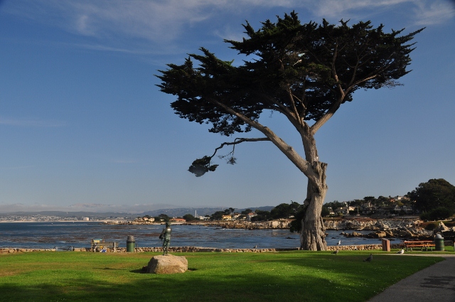 Pacific Grove